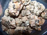 100_1778.webp
