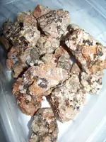 100_1779.webp