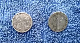 Silver Back.webp