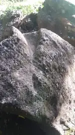received_3222348037784886.webp