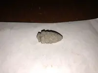Bullet 3a.webp
