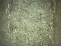 A9689766-E186-4176-812D-969807C98E28.webp
