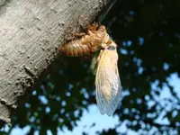 DSC05387.webp
