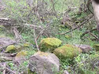 ImageUploadedByTreasureNet.com1589818774.891511.webp ImageUploadedByTreasureNet.com1589818774.891511.webp