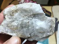 D9E01714-D9E7-4100-B473-77A8E6AA4781.webp