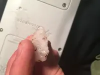 0004181D-A7C3-4471-BB09-EEB7498B8ADA.webp 0004181D-A7C3-4471-BB09-EEB7498B8ADA.webp