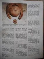 DSCN4533.webp