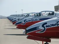 snowbirds.webp snowbirds.webp