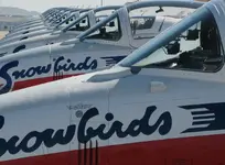 snowbirds2.webp
