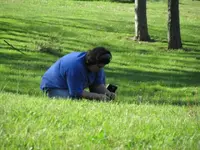 IMG_0594.webp