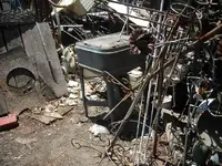 DSCN3995.webp
