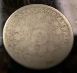 shieldrev.webp