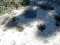 DSCN2938.webp