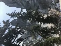 A623AC7D-5A46-4049-AE0A-C7EC04BD4103.webp