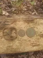 thumbnail (24).webp