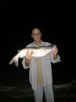 ImageUploadedByTreasureNet.com1590786326.827148.webp ImageUploadedByTreasureNet.com1590786326.827148.webp