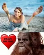 dda931fb40b456ae0ec41d9ff57eb076.webp