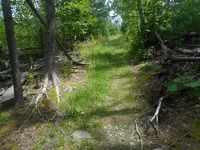 DSCN4541.webp