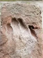 brick1.webp