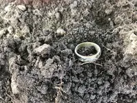 ring.webp