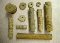 Crinoids.webp