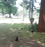 20200510_021859.webp