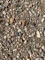 ImageUploadedByTreasureNet.com1594096883.866605.webp