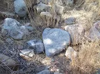 101_0211.webp