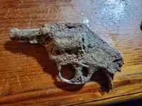 gun.webp