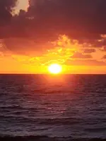20200719_064109.webp