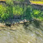 07B23C43-ACD1-4506-AE79-3EFC681ECF3E_1_201_a.webp