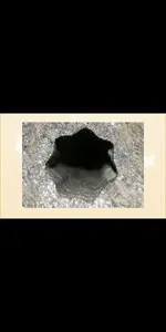 Screenshot_20200613-124022.webp