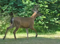 DSC_0014.webp DSC_0014.webp
