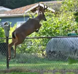 DSC_0011.webp