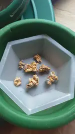 15g.webp