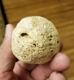 hammer ball.webp hammer ball.webp