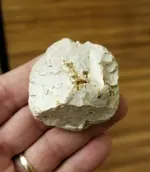 hammer flint.webp
