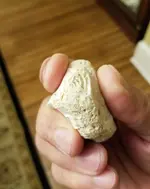hammer flint1.webp