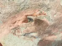 D9807B30-0316-4B3C-816A-79968350E260.webp