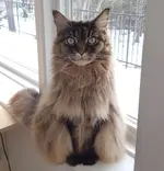 20191212_133246.webp