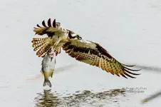 D038812E-3533-44CC-AF4B-6C9AE04E8205.webp