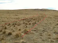 land mark old trail.webp