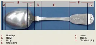 Spoon Anatomy.webp