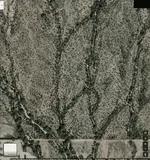 telecachesNorthtwo.webp