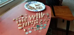 total haul.webp
