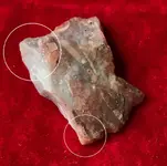 ImageUploadedByTreasureNet.com1595465000.750050.webp