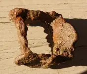 Unknown buckle3.webp Unknown buckle3.webp