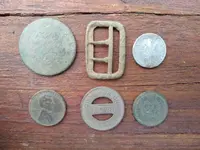 053120finds1.webp