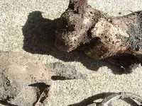 DSCF0129.webp