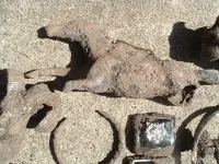 DSCF0130.webp